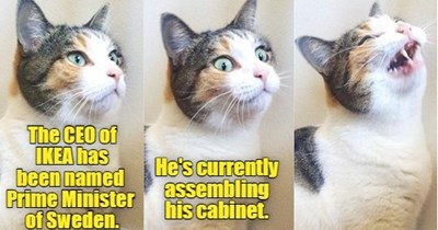 Joke Cat shouldn't quit his day job.