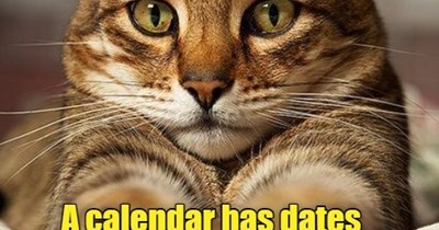 I'm available if you are.