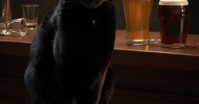 Can't tell the difference