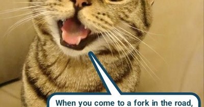 What the fork?