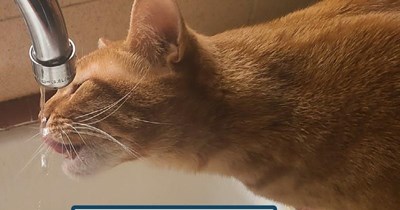 "Lick It Up" by KISS