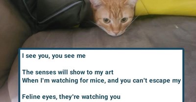 TTO "Private Eyes" by Daryl Hall & John Oates