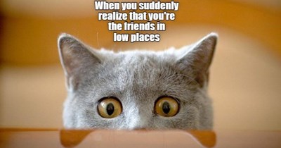 But... I Had No Idea