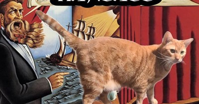 Point Of Meow Return