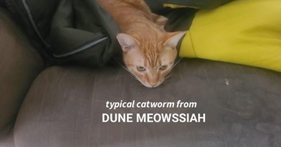 If Frank Herbert had a cat