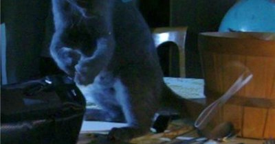 Just have to work on my aim