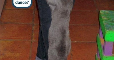 When you're caught red-pawed, so you dissemble