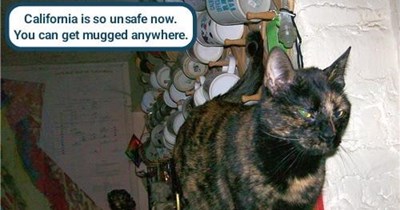 Need protection! ...from bad puns