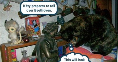 Rockin' and a-rollin'