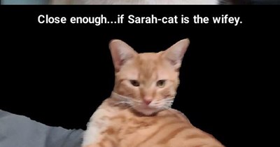 Epitomizing querulousness