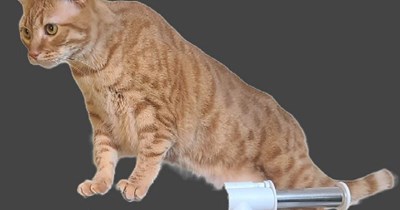 Invisible motorcycle