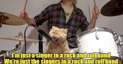 I'm just a singer in a rock and roll band...