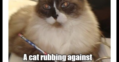 "Who Made Who" by AC/DC