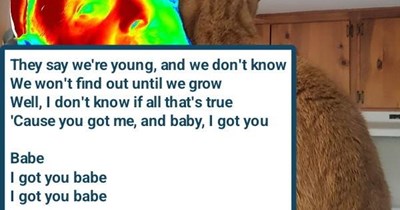 "I Got You Babe" by Sonny & Cher