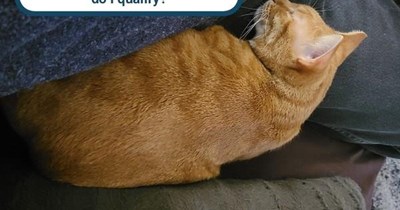 Is "semi" sufficient?