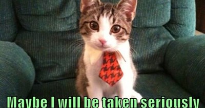 Maybe I will be taken seriously now.