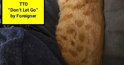 TTO "Don't Let Go" by Foreigner