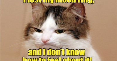 Glen Miller doesn't even know.