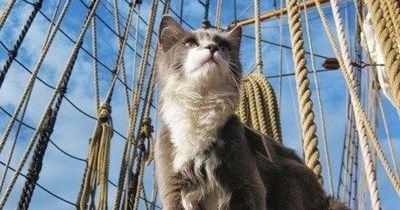 "Sailing" by Rod Stewart