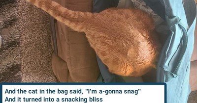 TTO "Ballroom Blitz" by Sweet