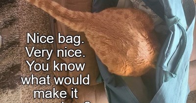 Let me help you with that, human