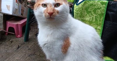 Tuco was Ugly *and* naughty, but I'm pretty