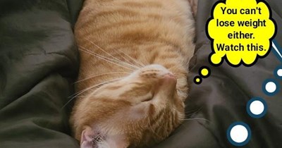 It's the weight of the world