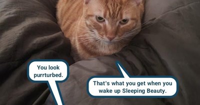 Grouch mode activated