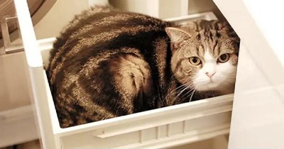 Thanks JK for the inspiration