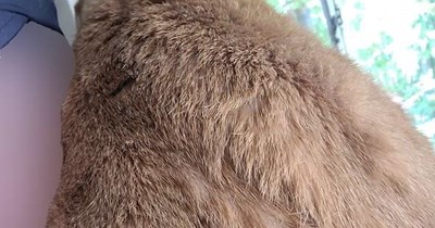 "Good Vibrations" by The Beach Boys