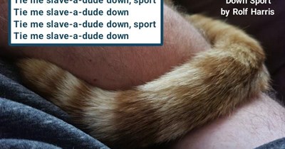 TTO "Tie Me Kangaroo Down Sport" by Rolf Harris