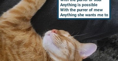 "Power Of Soul" by Jimi Hendrix