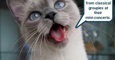 Don't pry at me concertina