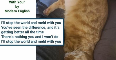 "I Melt With You" by Modern English