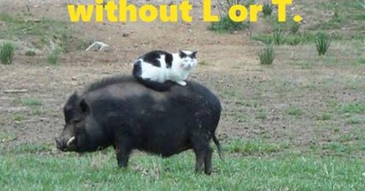 How do you like yours?