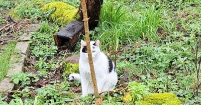 Are you among 10 percent of people who can find this?