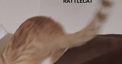 Newly-discovered species