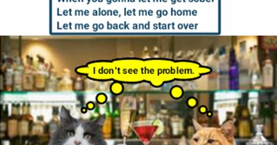 "Bottle of Wine" by Tom Paxton