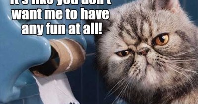 Do something about this, quickly!