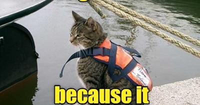 Sit right back and you'll hear a tail...