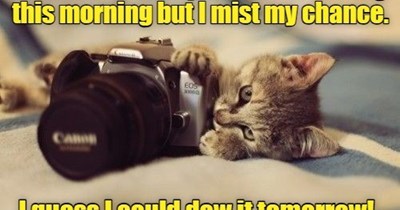 Not a morning person.