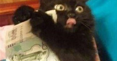 KKPS Akademik Decatalon  Timmy - Economics