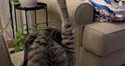 Mr Boswell is bathing