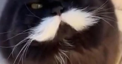 If you have a moment