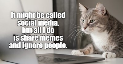 Is this what it was made for?