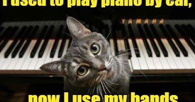 Eat your heart out Victor Borge.