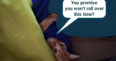 Don't. Fall. Asleep.