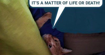 Five seconds = an eternity