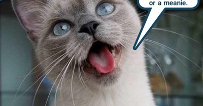 Bosco doesn't want to see that movie