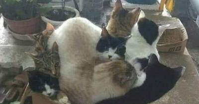 The sign said, "Fill a box for $10"